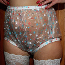 blog logo of The pantied one