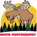 blog logo of Moose Photography's 