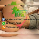 blog logo of CORNOS DO BRASIL