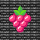 blog logo of The BerrySauce Blog