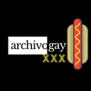 blog logo of Archivo XXX de la Biblioteca LGTBI OHV