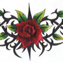 blog logo of A Blackthorne Among Roses