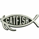 blog logo of Catfish's thoughts