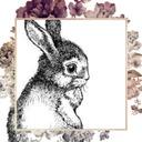 blog logo of retrophile-rabbit