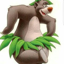 blog logo of baloo the bear