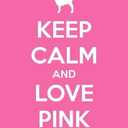 blog logo of VS Pink Girls