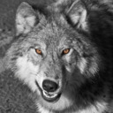 blog logo of Unleash The Wolf