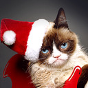 blog logo of Grumpy Cat's Worst Christmas Ever