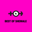 blog logo of Best of Shemale