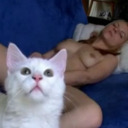 Indifferent cats in amateur porn