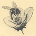 blog logo of The Urban Beekeeper