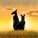 blog logo of An Aussie N L.A.