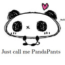 blog logo of PandaPants