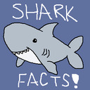 blog logo of Shark Fact of the Day