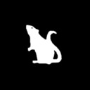blog logo of YEAR OF THE RAT