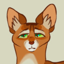 warrior cats project