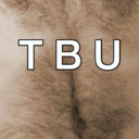 blog logo of The Bear Underground