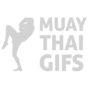 blog logo of Muay Thai Gifs