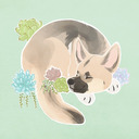 blog logo of Husky Huddle