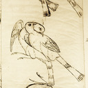 blog logo of asparrowsfall