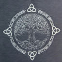 blog logo of dendrophile & thalassophile