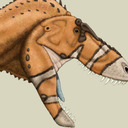 blog logo of Scott Hartman's Dinosaur Anatomy