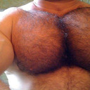 Muscle Daddy Bears