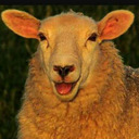 blog logo of release-the-sheep