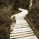 blog logo of Walking a Winding Path