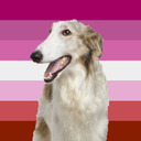 blog logo of self dxed lesbian