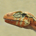 blog logo of Cloudair Paleontology