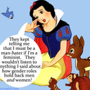 blog logo of Feminist Disney