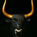 blog logo of The Dutch Bull