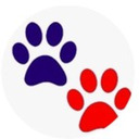 blog logo of ❤️ Dog Lovers Club