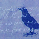 blog logo of blue crow cafe
