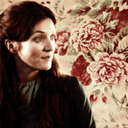 blog logo of Winterfell's Lady