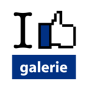 blog logo of ilikegalerie