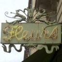 blog logo of Petite Fleur