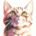 blog logo of CyBeRGaTa - Cats, New Mexico,Memes, Resist