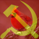 Socialist Space Bird