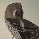 blog logo of Velociraptor