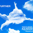blog logo of Fancy SharkClouds's Blog