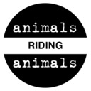 animals riding animals
