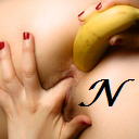 blog logo of Noinu-Xodor
