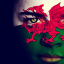 blog logo of Love Wales