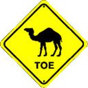 blog logo of CAMEL TOE STORE