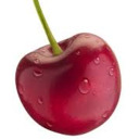 blog logo of xXSweet CherryXx