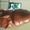 Chocolate Dick for Your Chick