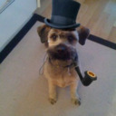 blog logo of Dogs in Top Hats