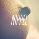 blog logo of Nippel!